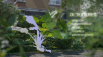 3D Taro Collection plants in garden near building
