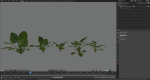 3D Taro Collection plants in garden near building