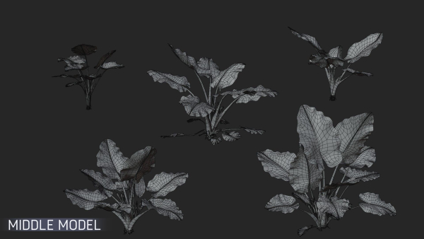 3D Taro Collection plants in garden near building