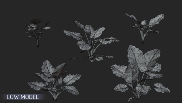 3D Taro Collection plants in garden near building