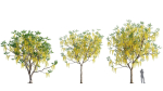 3DTree Bundle 03 - Park City