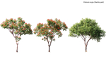 3DTree Bundle 03 - Park City
