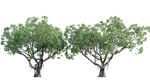 3DTree Bundle 03 - Park City