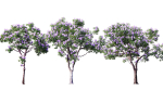 3DTree Bundle 03 - Park City