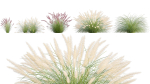 3DTree Bundle 05 - Flower Garden