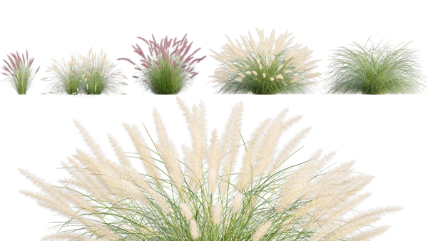 3DTree Bundle 05 - Flower Garden