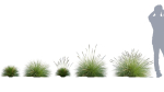 3DTree Bundle 05 - Flower Garden