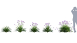 3DTree Bundle 05 - Flower Garden