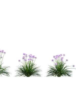 3dtree-bundle-05-flower-garden-3d-model-2d36feddef