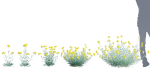 3DTree Bundle 05 - Flower Garden