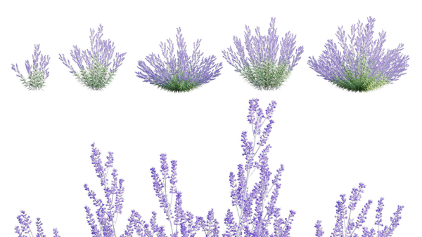 3DTree Bundle 05 - Flower Garden