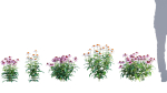 3DTree Bundle 05 - Flower Garden