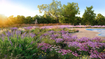 3DTree Bundle 05 - Flower Garden