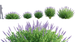3DTree Bundle 05 - Flower Garden