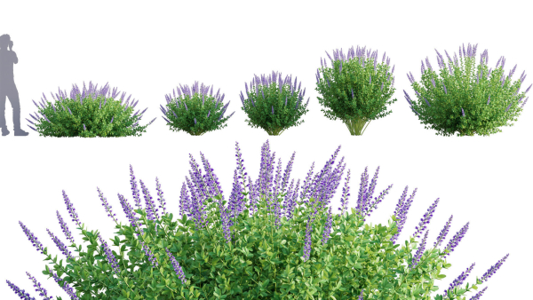 3DTree Bundle 05 - Flower Garden