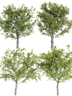 4-diffrent-tree-red-delicious-apple-peach-3d-model-max-obj-fbx-mat