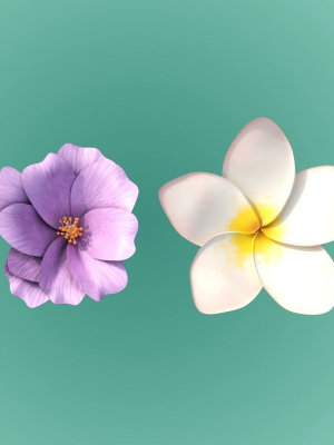 4 Flowers Package