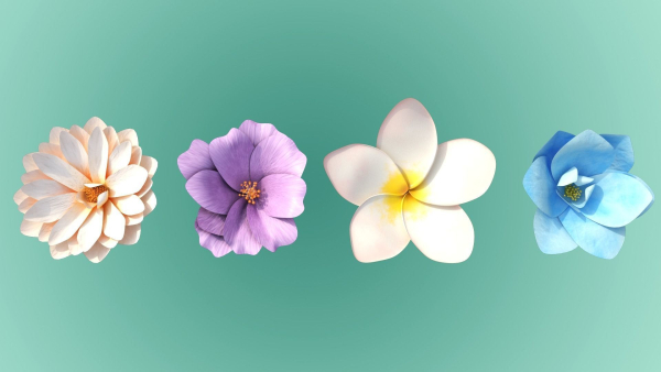 4 Flowers Package