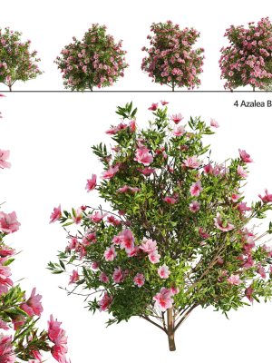4-spring-azalea-flower-bush-3d-model-max-obj-fbx-c4d-stl-blend