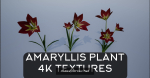 4K Lowpoly Flower Plants Collection