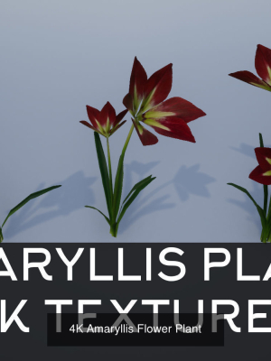 4k-lowpoly-flower-plants-collection-3d-model-max-obj-3ds-fbx-stl-dae