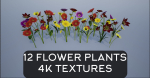 4K Lowpoly Flower Plants Collection