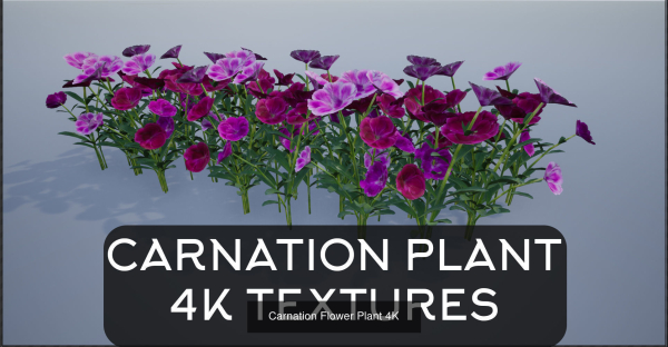 4K Lowpoly Flower Plants Collection