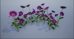 4K Lowpoly Flower Plants Collection