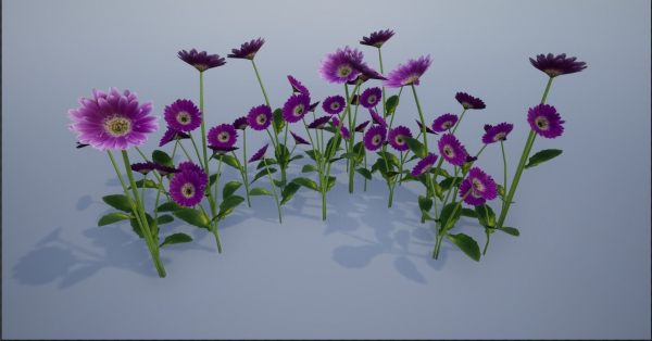 4K Lowpoly Flower Plants Collection