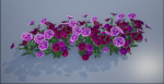 4K Lowpoly Flower Plants Collection