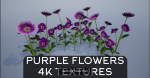 4K Lowpoly Flower Plants Collection