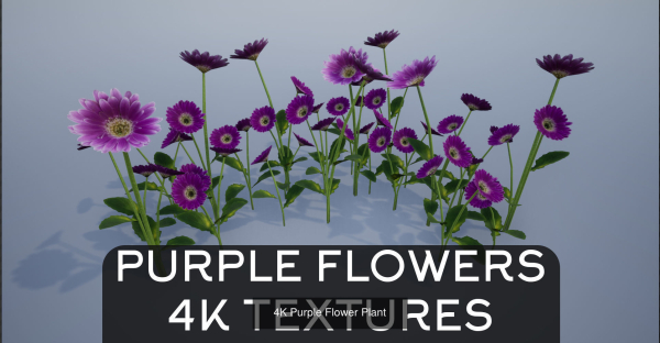 4K Lowpoly Flower Plants Collection