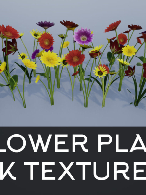 4K Lowpoly Flower Plants Collection