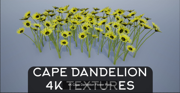 4K Lowpoly Flower Plants Collection