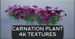 4K Lowpoly Flower Plants Collection