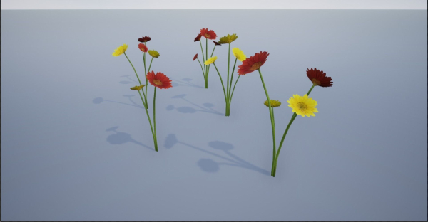 4K Red-Yellow Mixed Flower Plants
