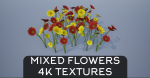 4K Red-Yellow Mixed Flower Plants