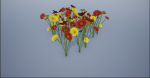 4K Red-Yellow Mixed Flower Plants