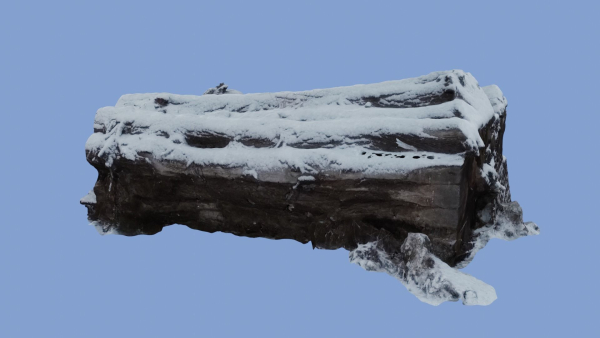 4K Snow Covered Cut Log Photoscan