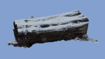 4K Snow Covered Cut Log Photoscan