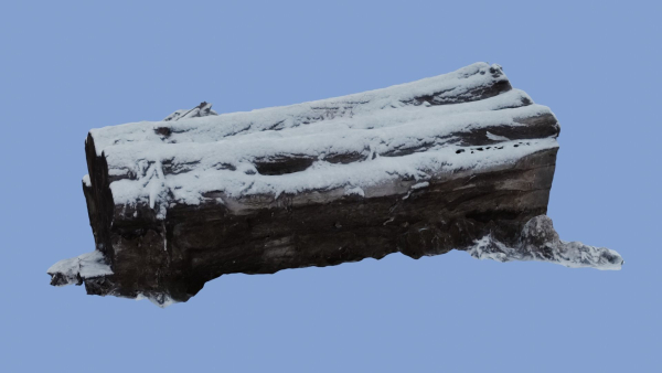 4K Snow Covered Cut Log Photoscan