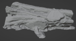 4K Snow Covered Cut Log Photoscan