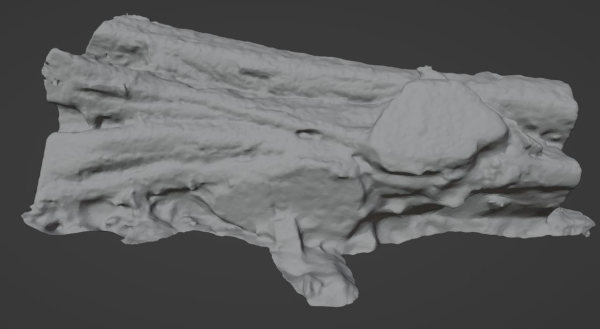 4K Snow Covered Cut Log Photoscan