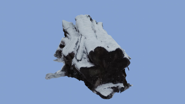 4K Snow Covered Cut Log Photoscan