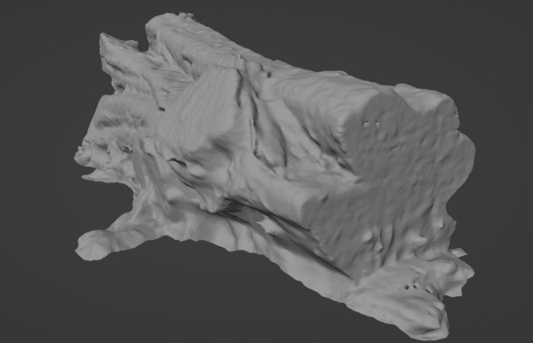 4K Snow Covered Cut Log Photoscan