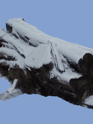 4K Snow Covered Cut Log Photoscan