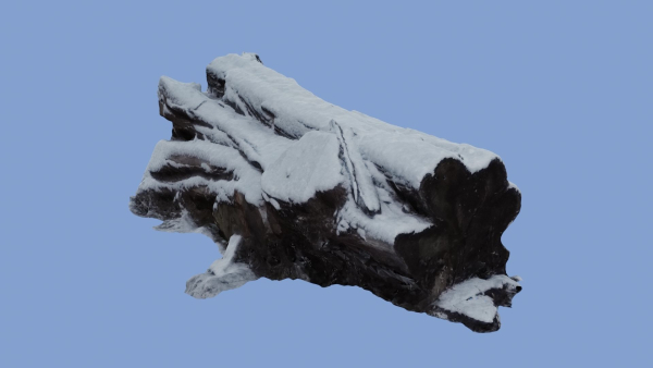 4K Snow Covered Cut Log Photoscan