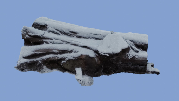 4K Snow Covered Cut Log Photoscan