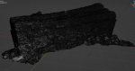 4K Snow Covered Cut Log Photoscan
