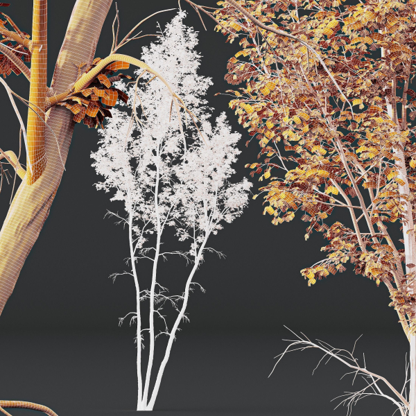 5 Different SETS of Trees SET VOL13